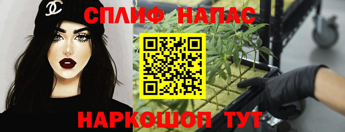 Бошки марихуана семена  МАРИХУАНА конопля  Коммунар  Бошки марихуана планчик  Вход с VPN  Каннабис Ganja 
